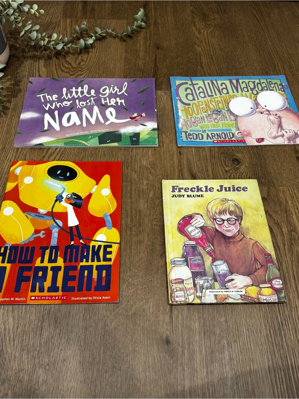 Kids Picture & Early Reader Book Bundle Set of 4